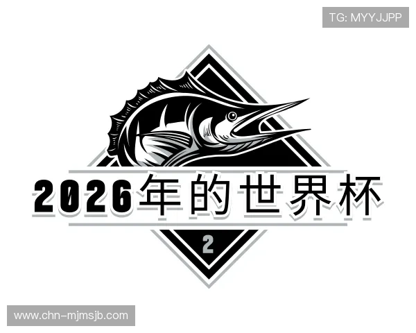 了解2026年的世界杯