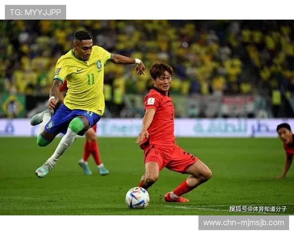 日韩世界杯：两国球队战术分析与明星球员的精彩表现